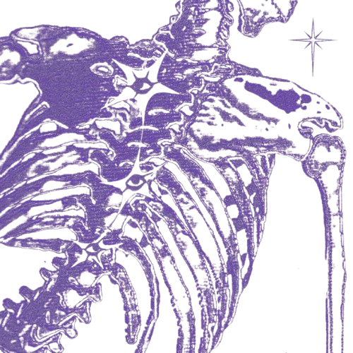 Skeleton